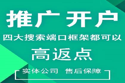 SEM托管服务，实战案例深度剖析